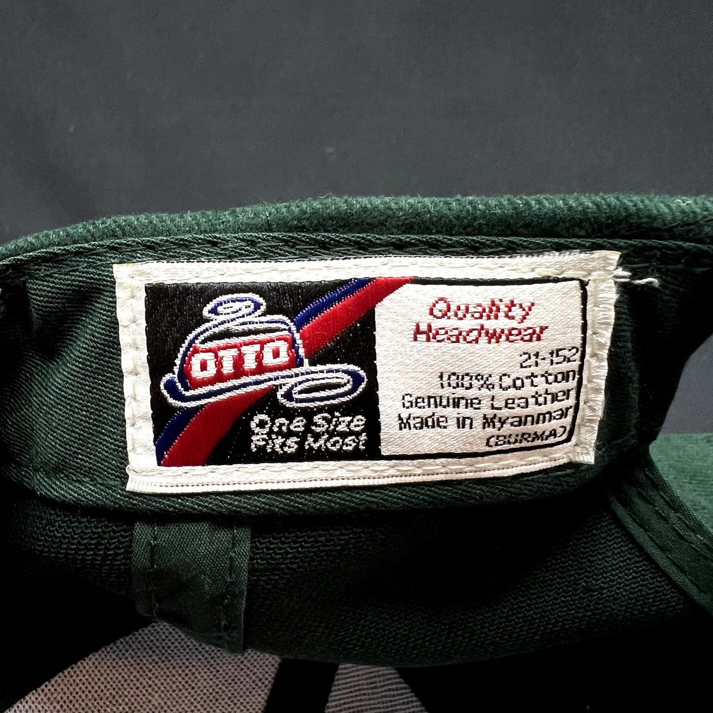 Vintage Desert Lake Golf Strapback Hat Suede Brim OTTO Leather Strap