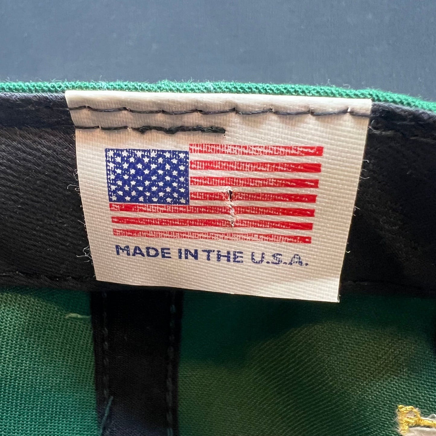 Vintage Ronald Reagan Pub Ireland Crest Snapback Hat USA