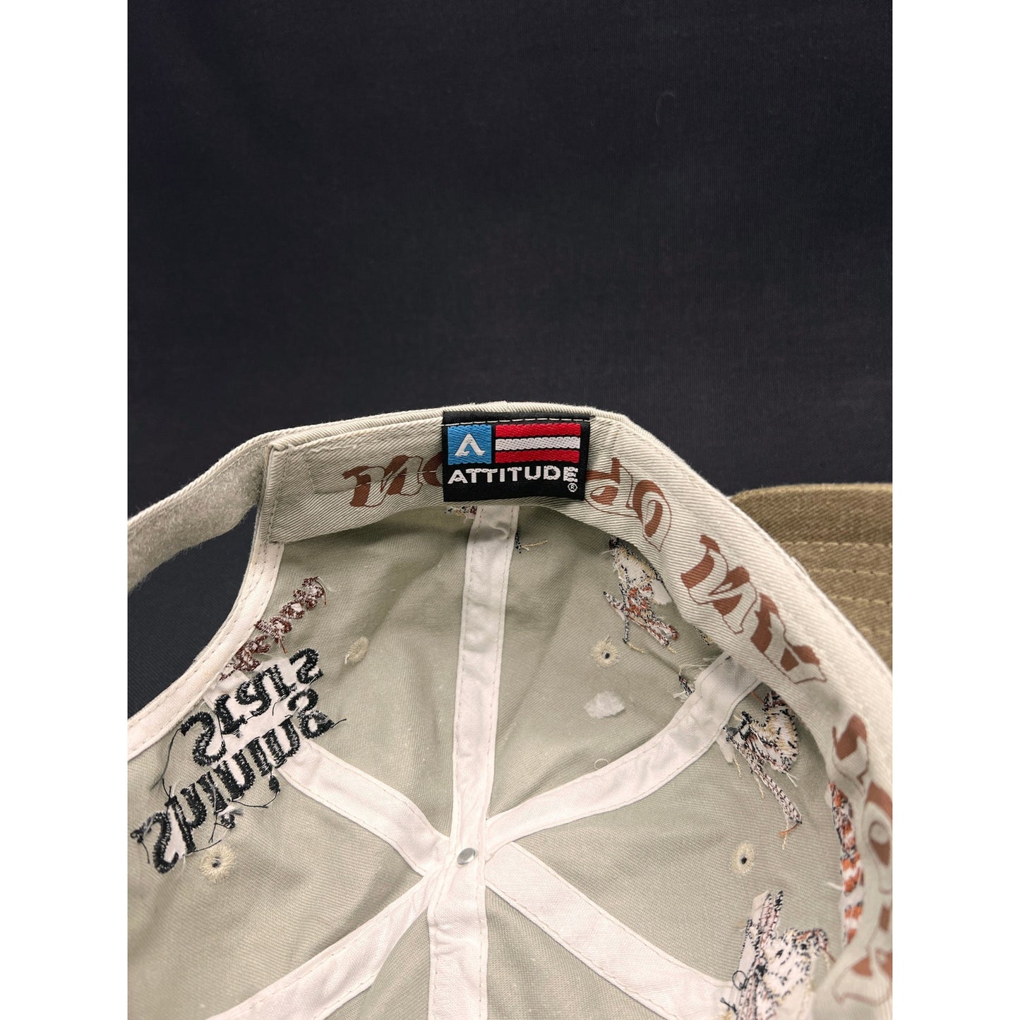 Vintage 90s “Pushin’ the Limits” Skiing Hat – Attitude Brand Strapback