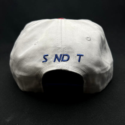 Teton Gravity Research USPS Mail Snapback Hat White Rope Cap Lightly Damaged