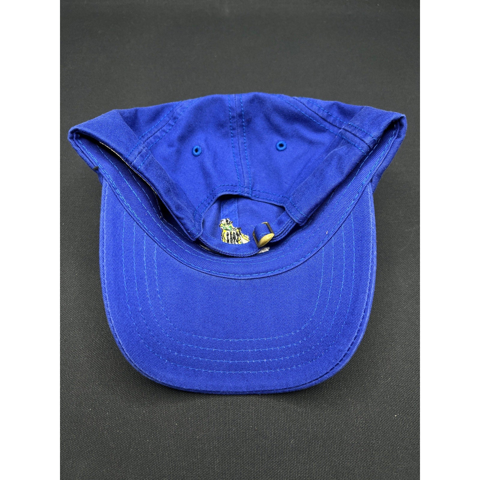 Vintage Trashmasters Aspen Golf Hat Royal Blue Strapback American Dry