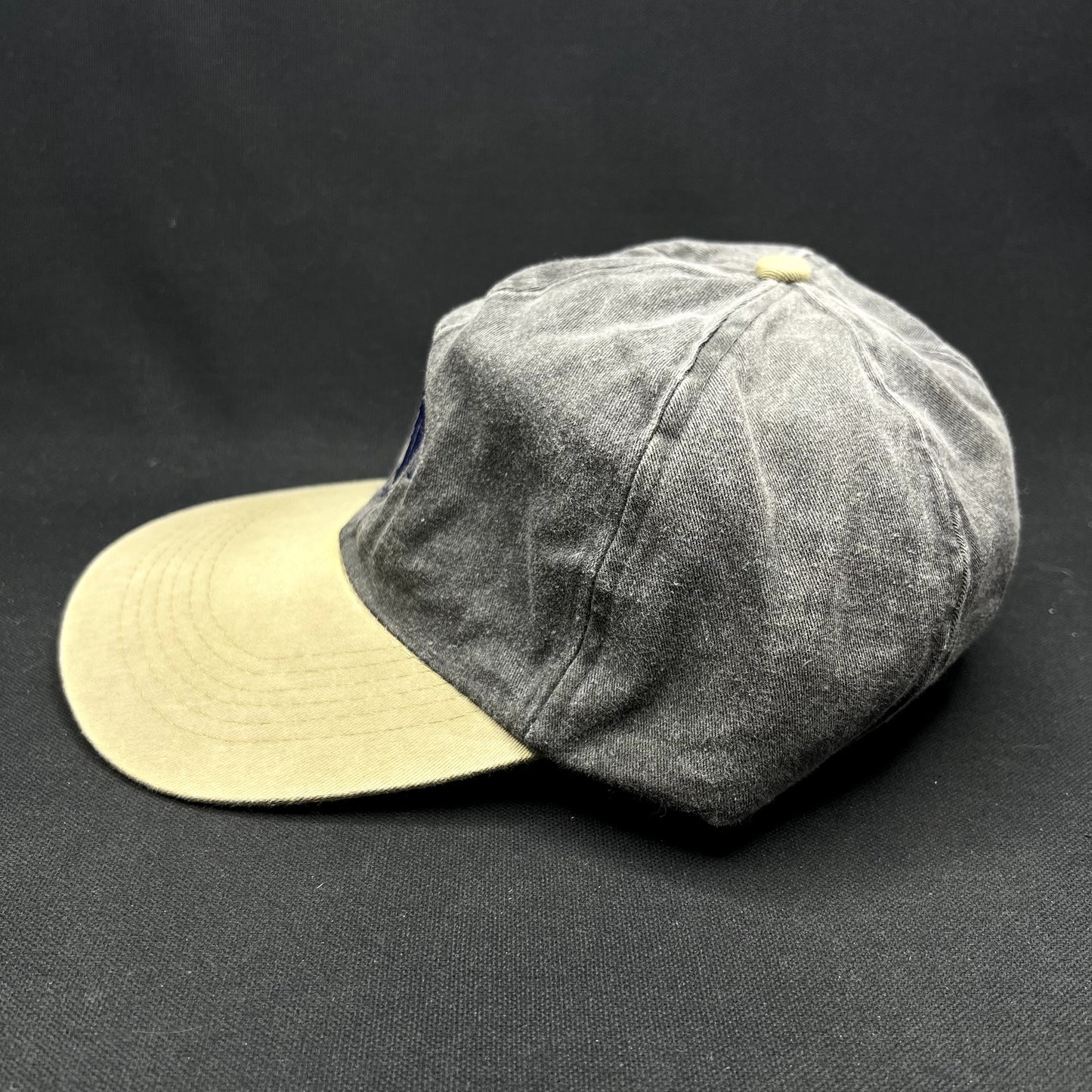 Vintage South Side Scuba Bermuda Strapback Cobra Dad Hat