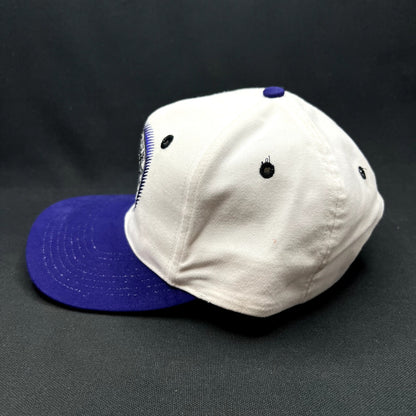 Vintage 1993 Colorado Rockies Inaugural Year Snapback Hat MLB Cap
