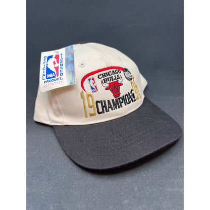 Vintage 1996 Chicago Bulls NBA Champions Hat Twins Enterprise USA New With Tags