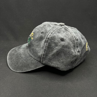 Vintage 1998 AVSC Golf Classic Cobra Strapback Hat