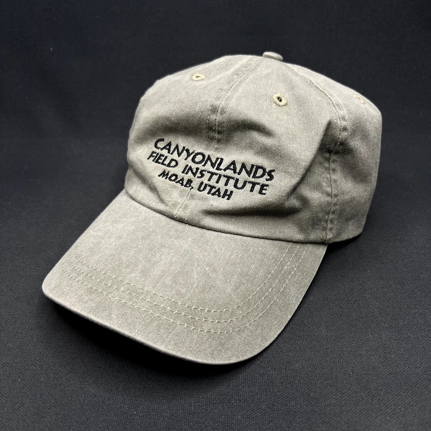Vintage Canyonlands Field Institute Moab Utah Strapback Hat Leather Strap