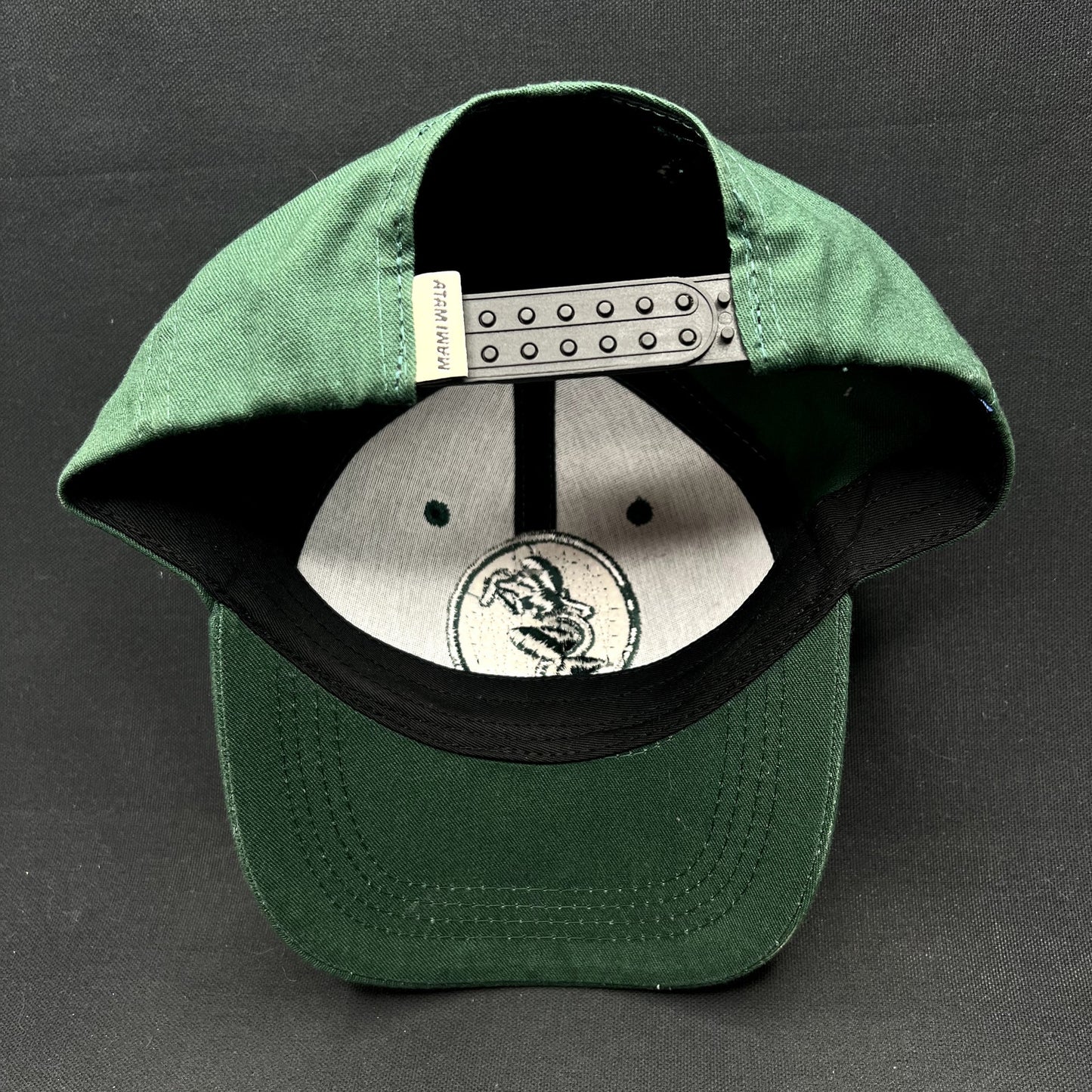 Mami Wata Surf Snapback Hat Green African Surf “Money Cannot Cure Death”