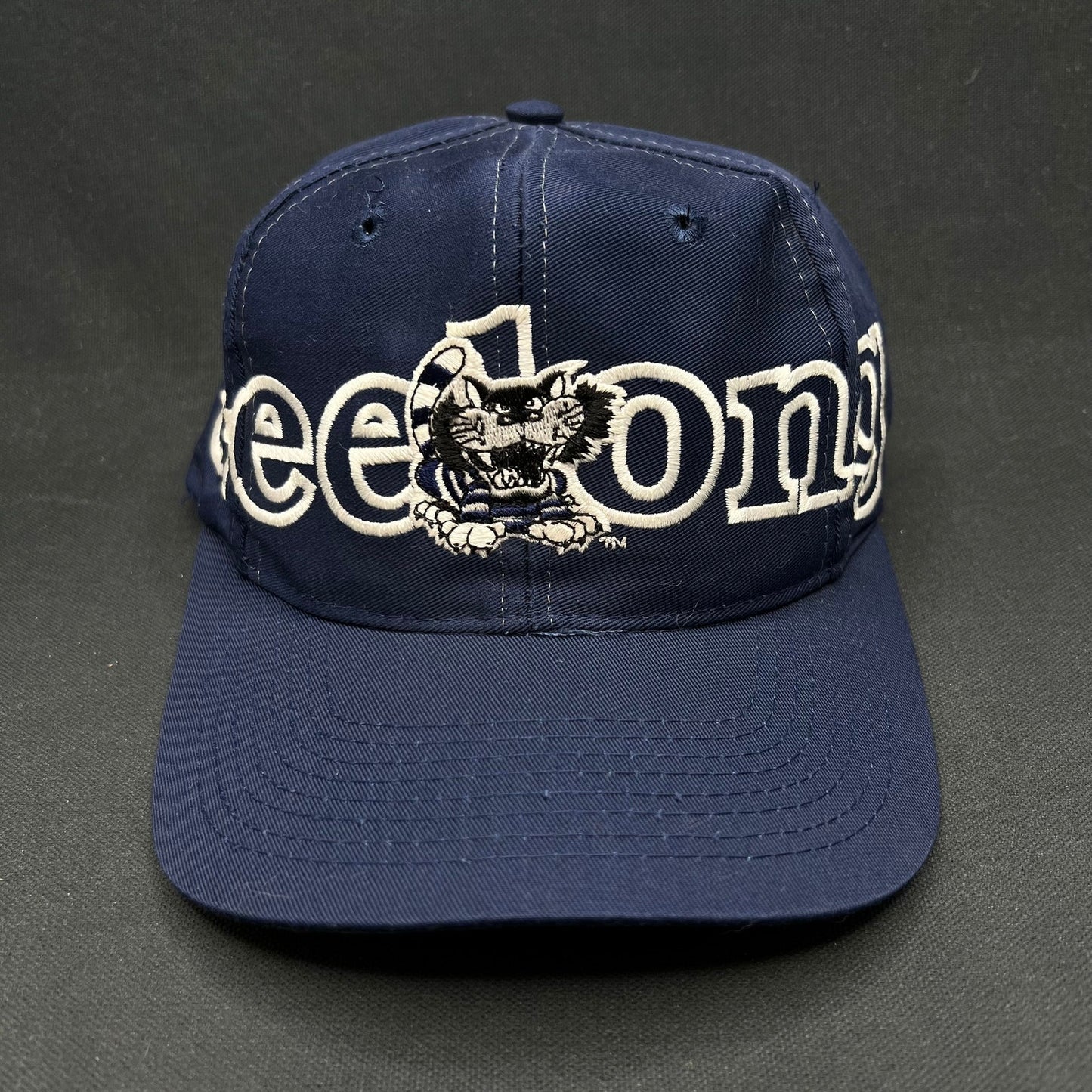 Vintage Geelong AFL Snapback Hat Big Logo Spellout Made in Taiwan
