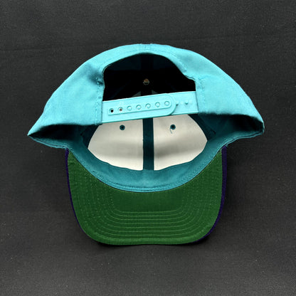Vintage OMC Snapback Hat Headmaster Teal Purple 90s Outdoor Marine Corp