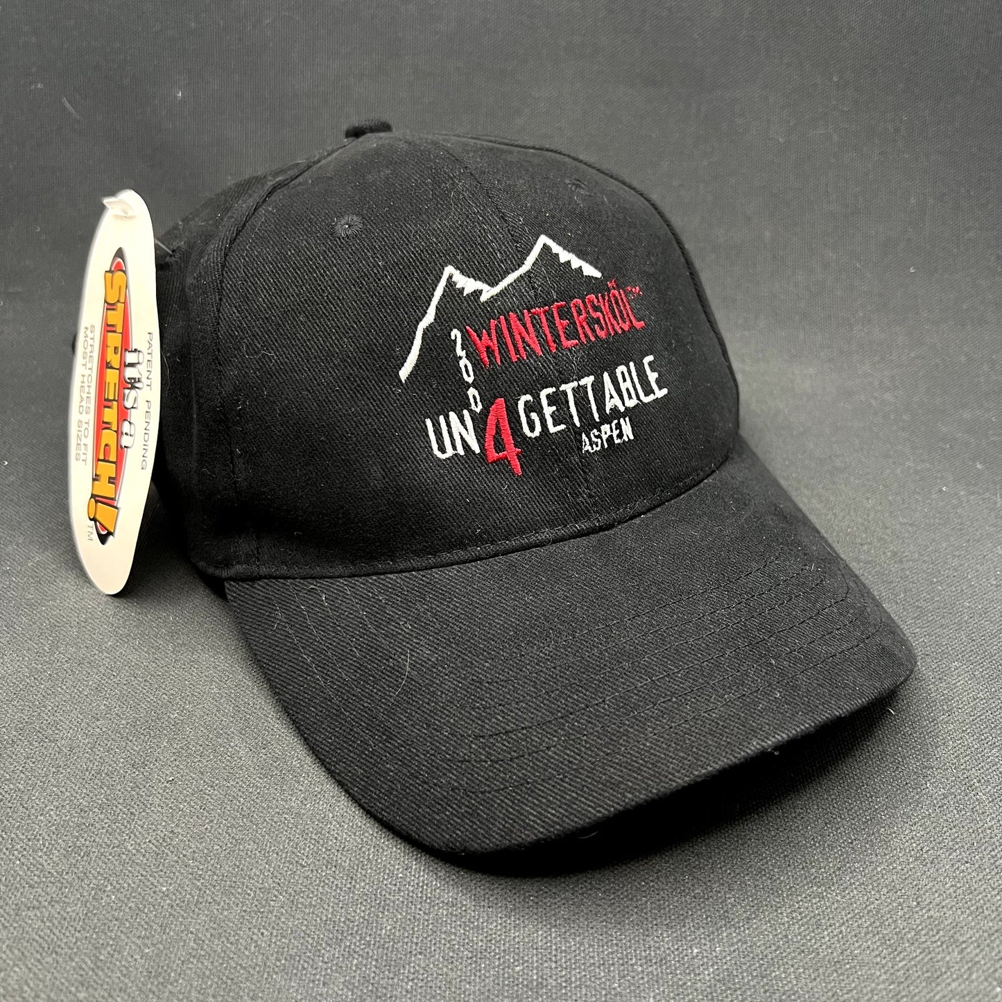 Vintage 2004 Aspen Wintersköl “Un4gettable” Stretch Fit Hat Ink! Coffee Ski Festival Cap S/Ma