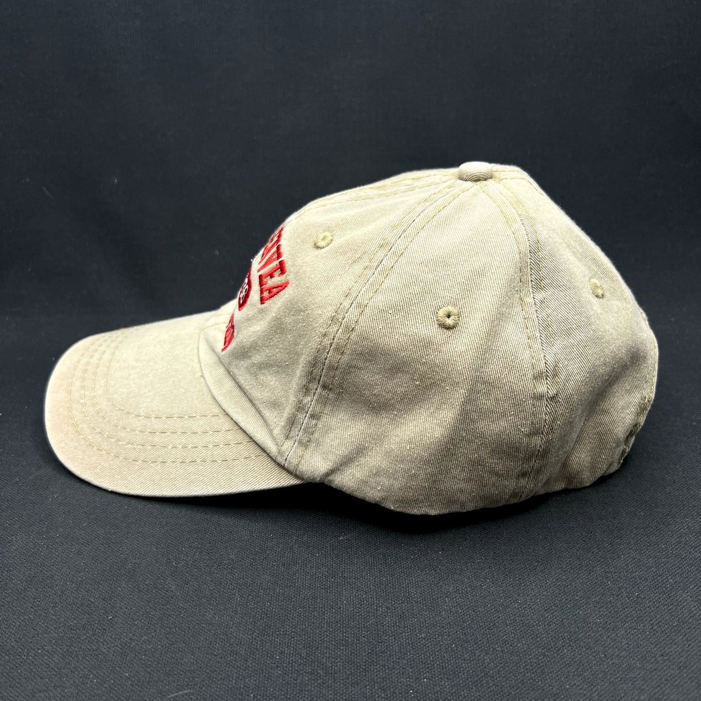 Vintage Lake Geneva Wisconsin Strapback Hat Khaki Tourist Travel Cap Embroidered