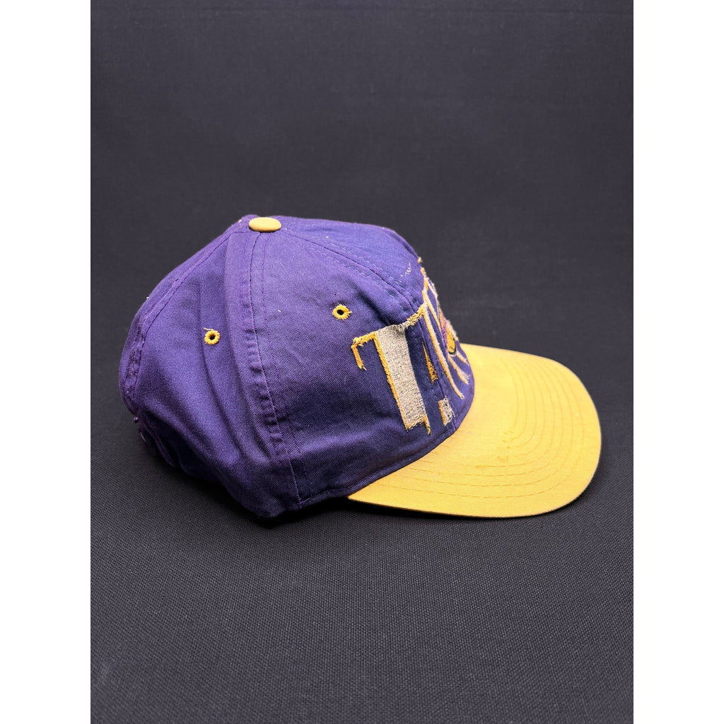 Rare Vintage 90s LA Lakers Starter Snapback Hat Tri Power Purple Gold Well Loved