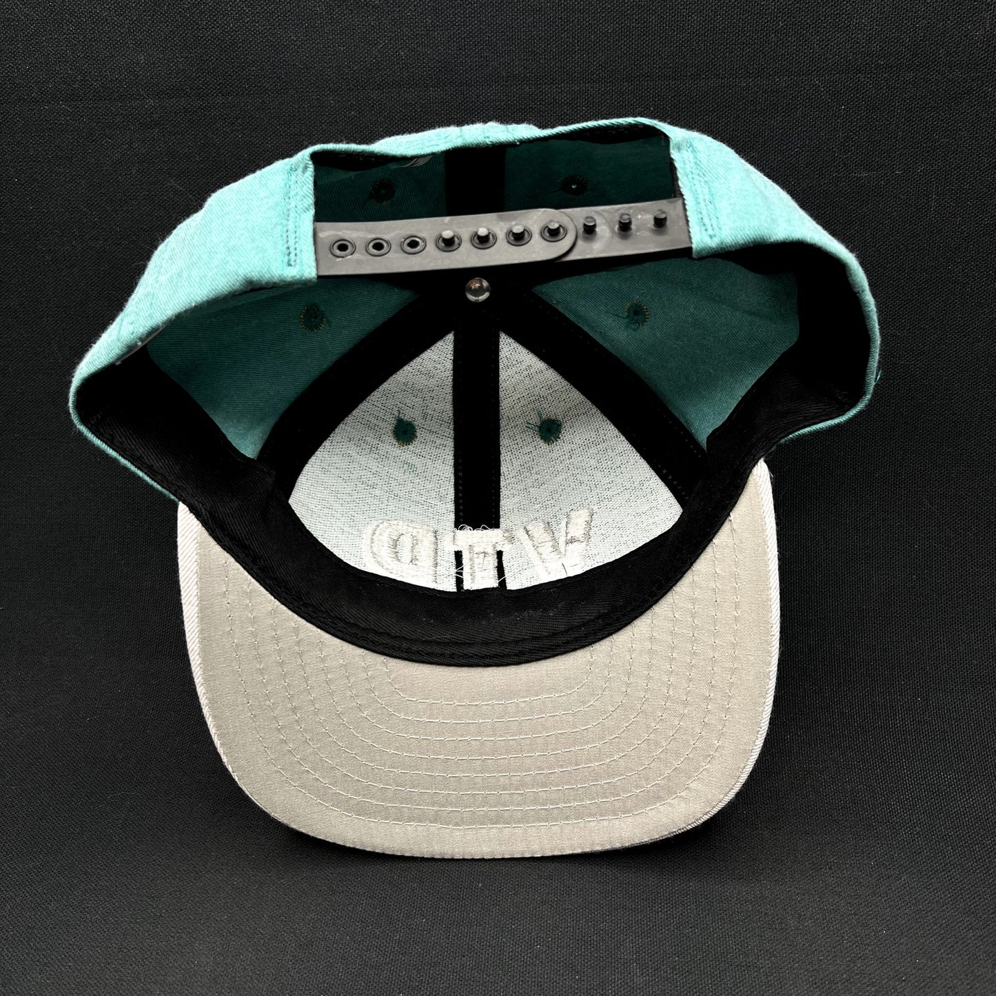 Vintage Aspen Valley Transit Department VTD Snapback Hat California Headwear USA