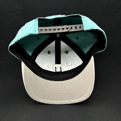 Vintage Aspen Valley Transit Department VTD Snapback Hat California Headwear USA