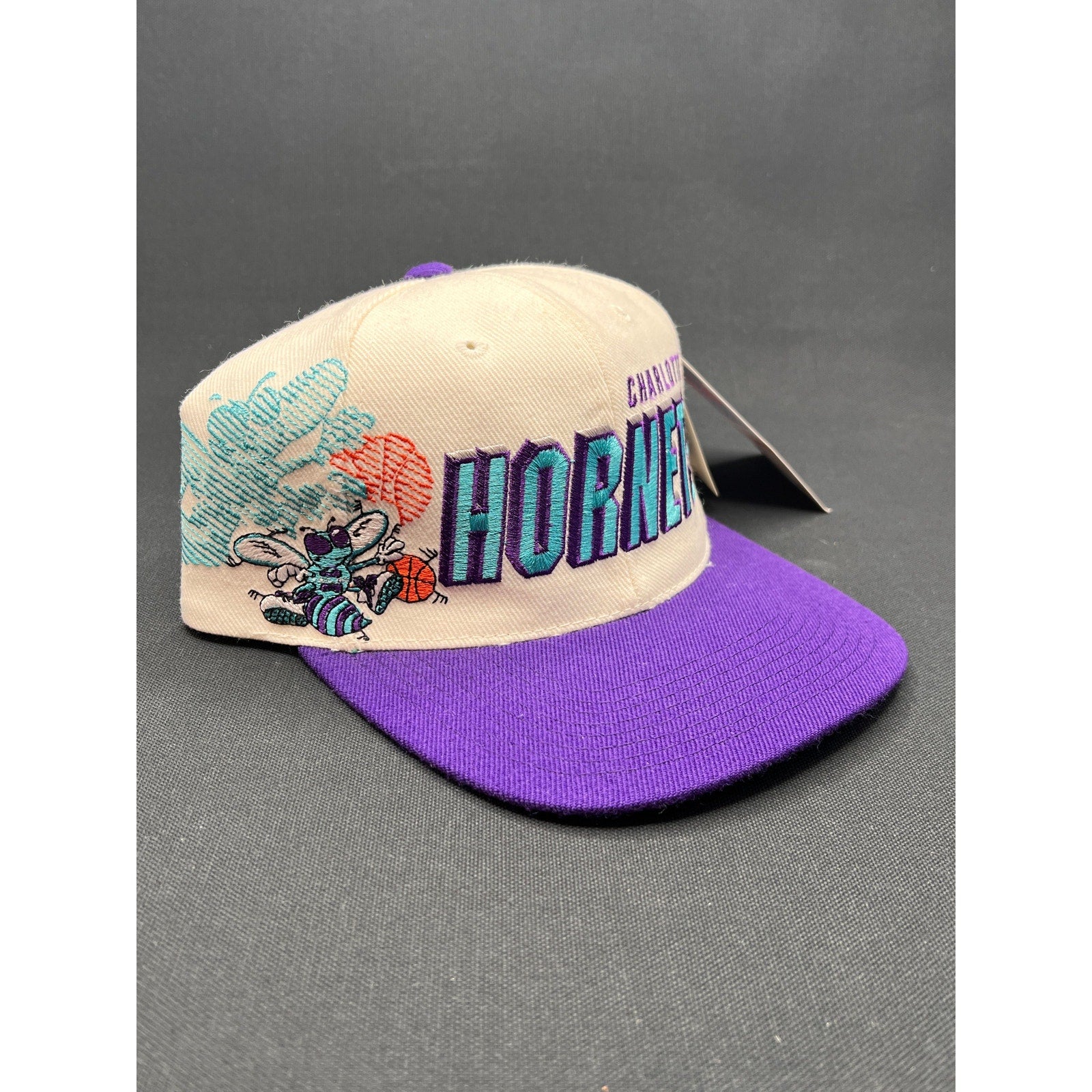 Vintage Charlotte Hornets Shadow Script Hat by Sports Specialties NWT