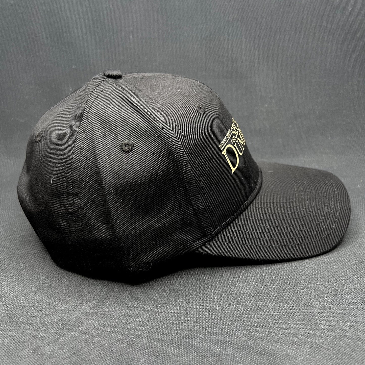 Fantastic Beasts Secrets Of Dumbledore 2022 Snapback Movie Hat