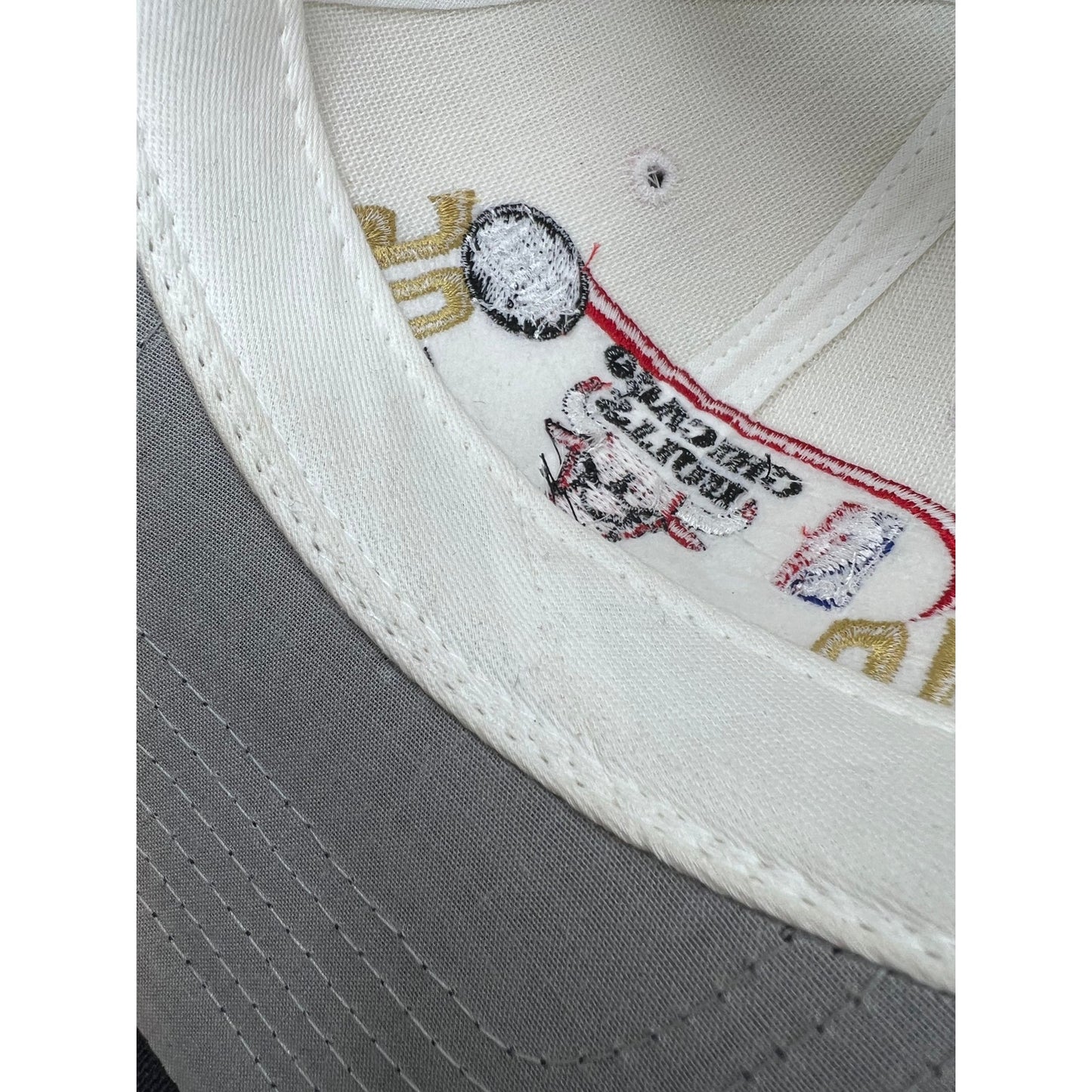 Vintage 1996 Chicago Bulls NBA Champions Hat Twins Enterprise USA New With Tags
