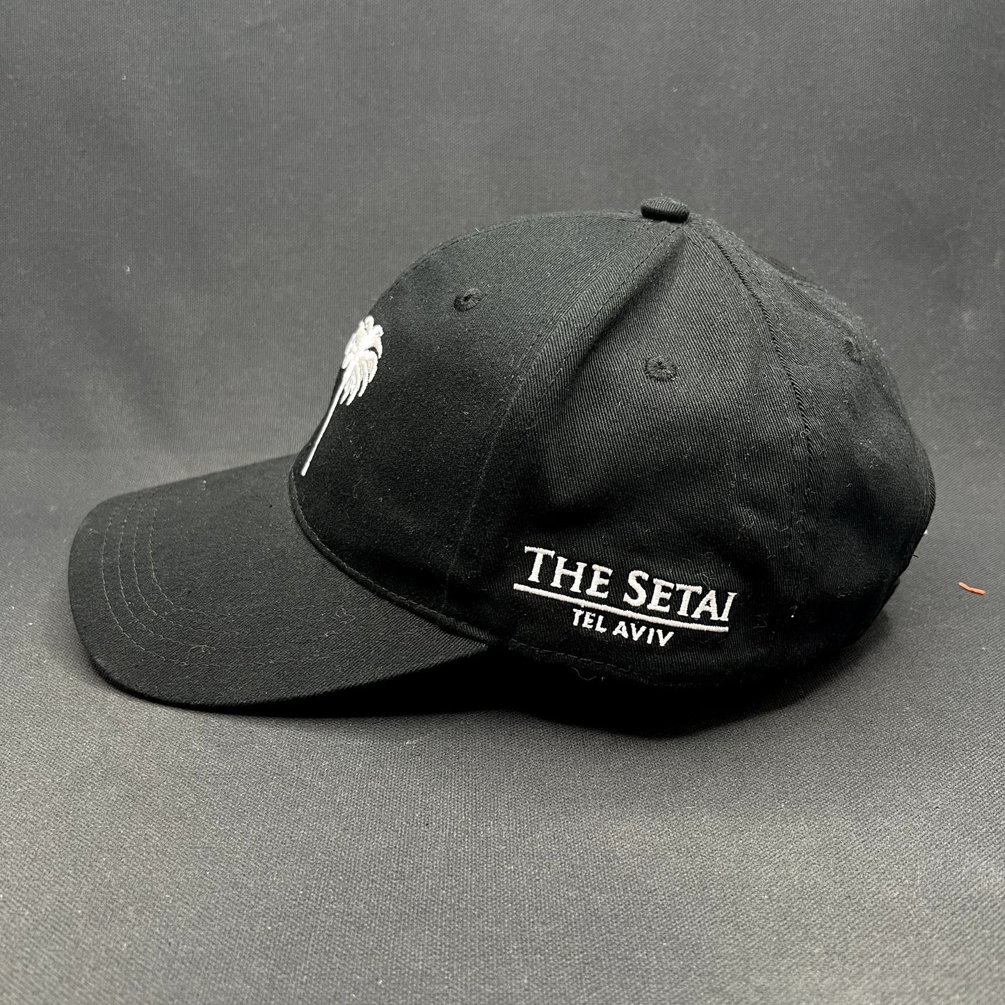 The Setai Tel Aviv Luxury Hotel Palm Trees Strapback Hat Black Israel Resort Cap