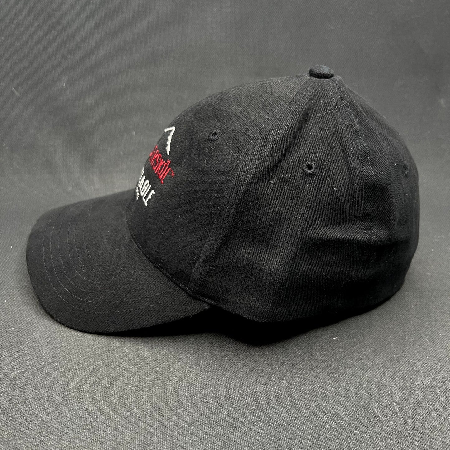 Vintage 2004 Aspen Wintersköl “Un4gettable” Stretch Fit Hat Ink! Coffee Ski Festival Cap S/Ma