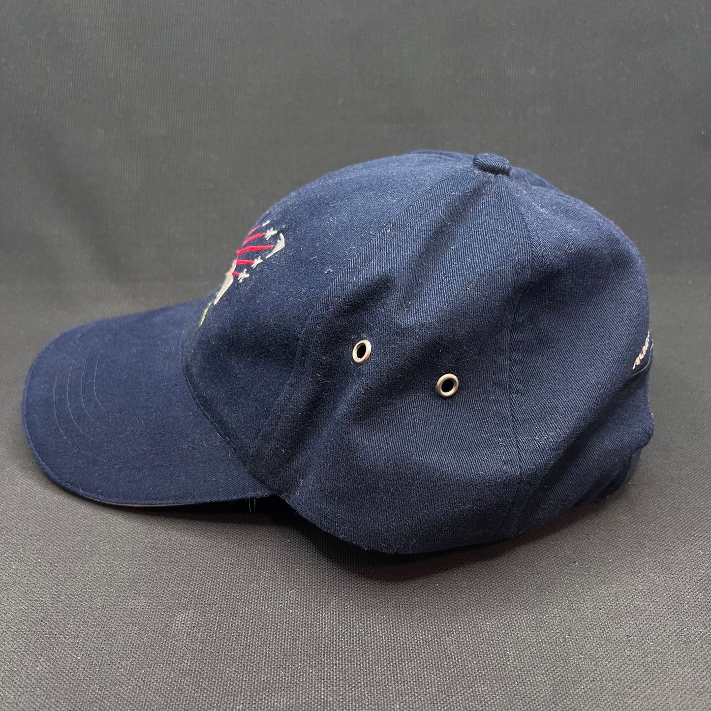 Vintage Northrop Grumman ESHM SAFE Team Strapback Hat