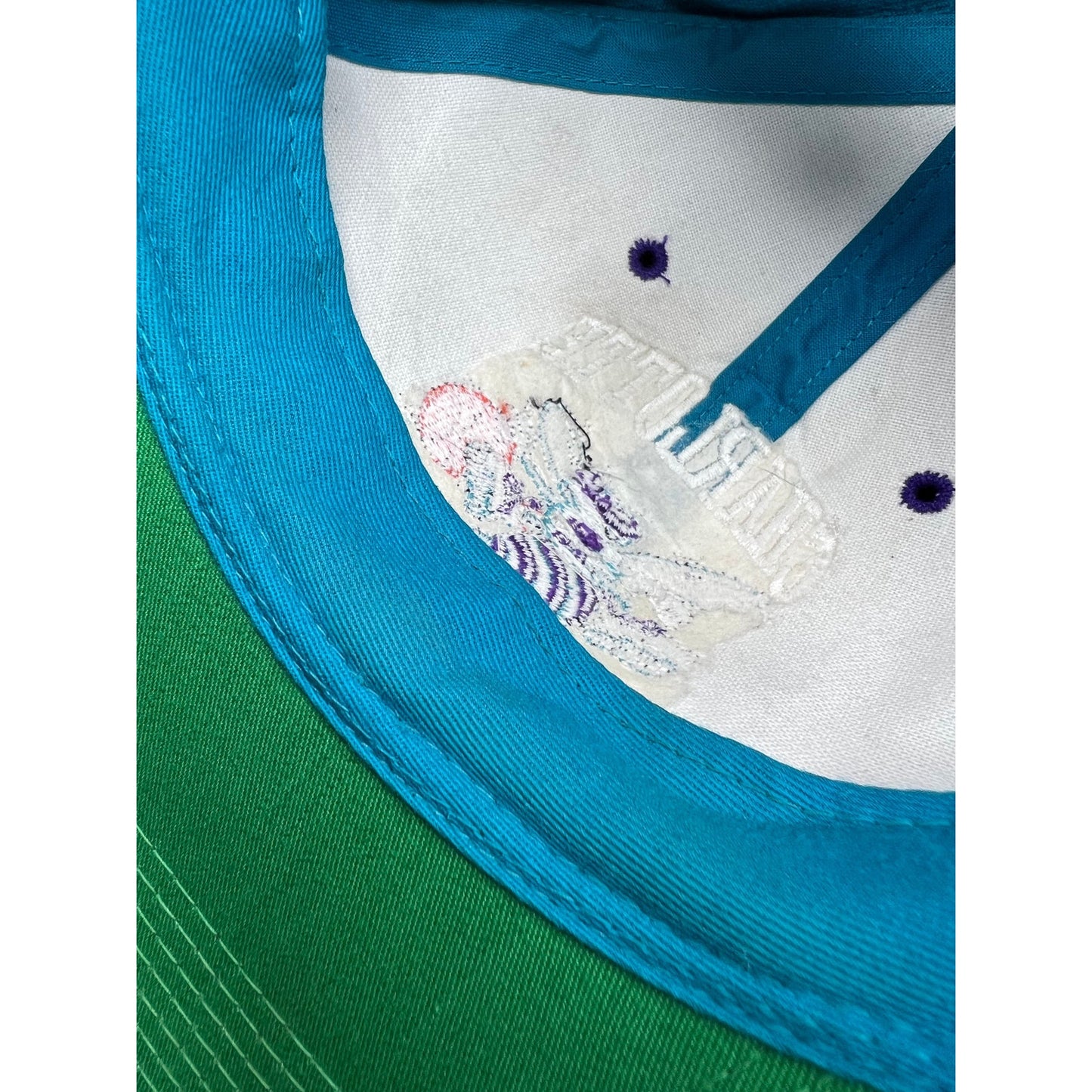 Vintage Charlotte Hornets Hat – Grossman Cap Co 100% Wool Teal & Purple Snapback