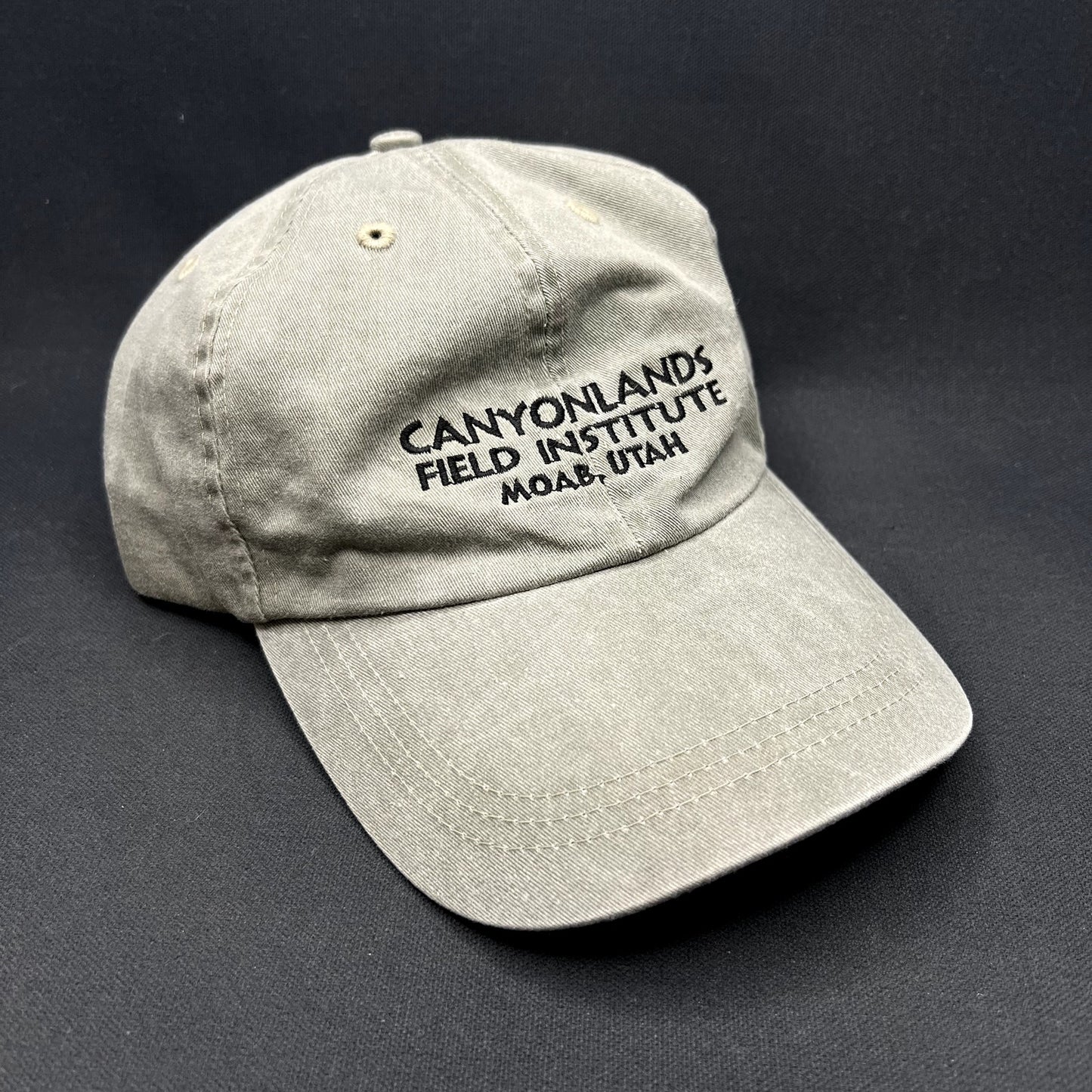 Vintage Canyonlands Field Institute Moab Utah Strapback Hat Leather Strap