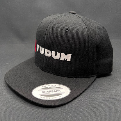 Rare Netflix News Tudum Promo Snapback Hat – Yupoong Classic