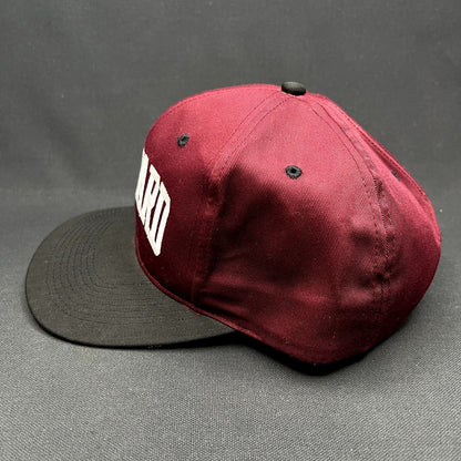 Vintage Harvard Snapback Hat Collegiate Licensed Wool Blend
