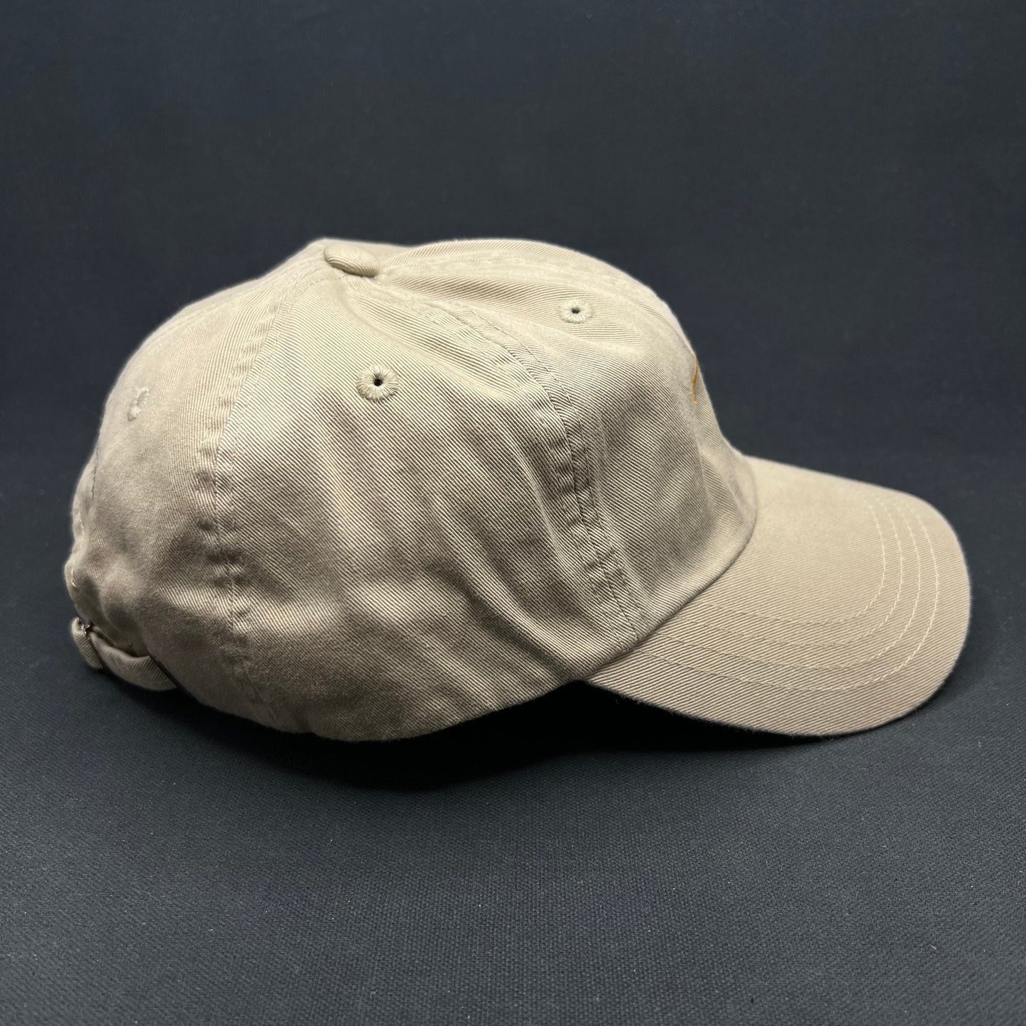 Vintage Aspen Dancing Bear Strapback Hat Style Ski Cap
