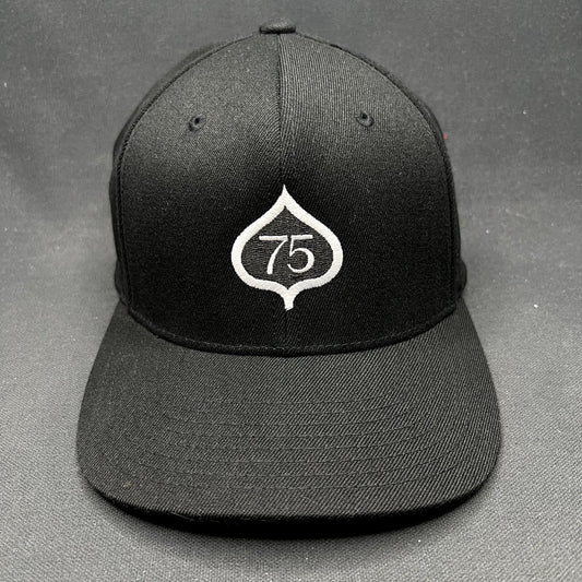 2022 Aspen 75th Anniversary Celebration Snapback Hat Black Yupoong 110