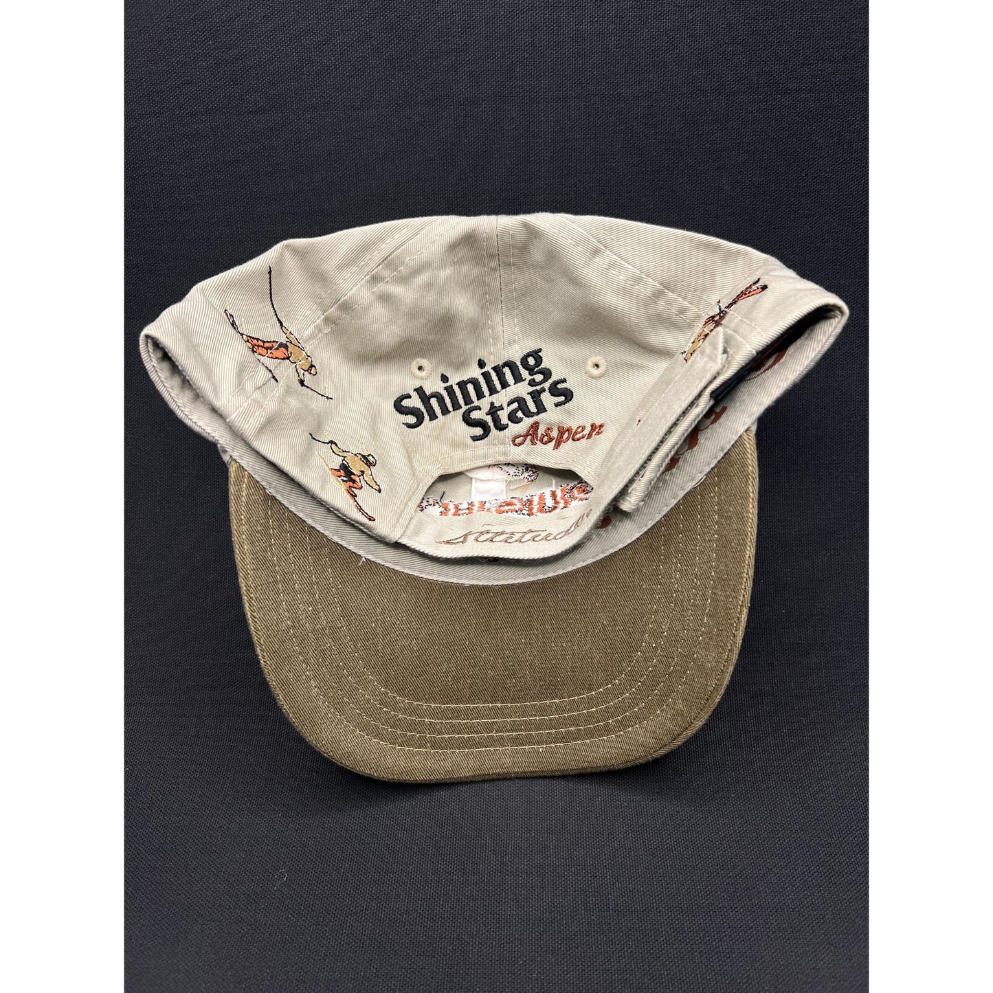 Vintage 90s “Pushin’ the Limits” Skiing Hat – Attitude Brand Strapback