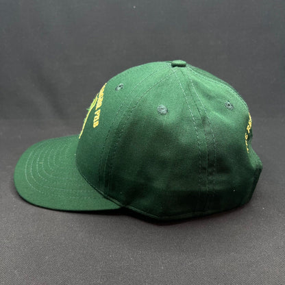 Vintage Ronald Reagan Pub Ireland Crest Snapback Hat USA