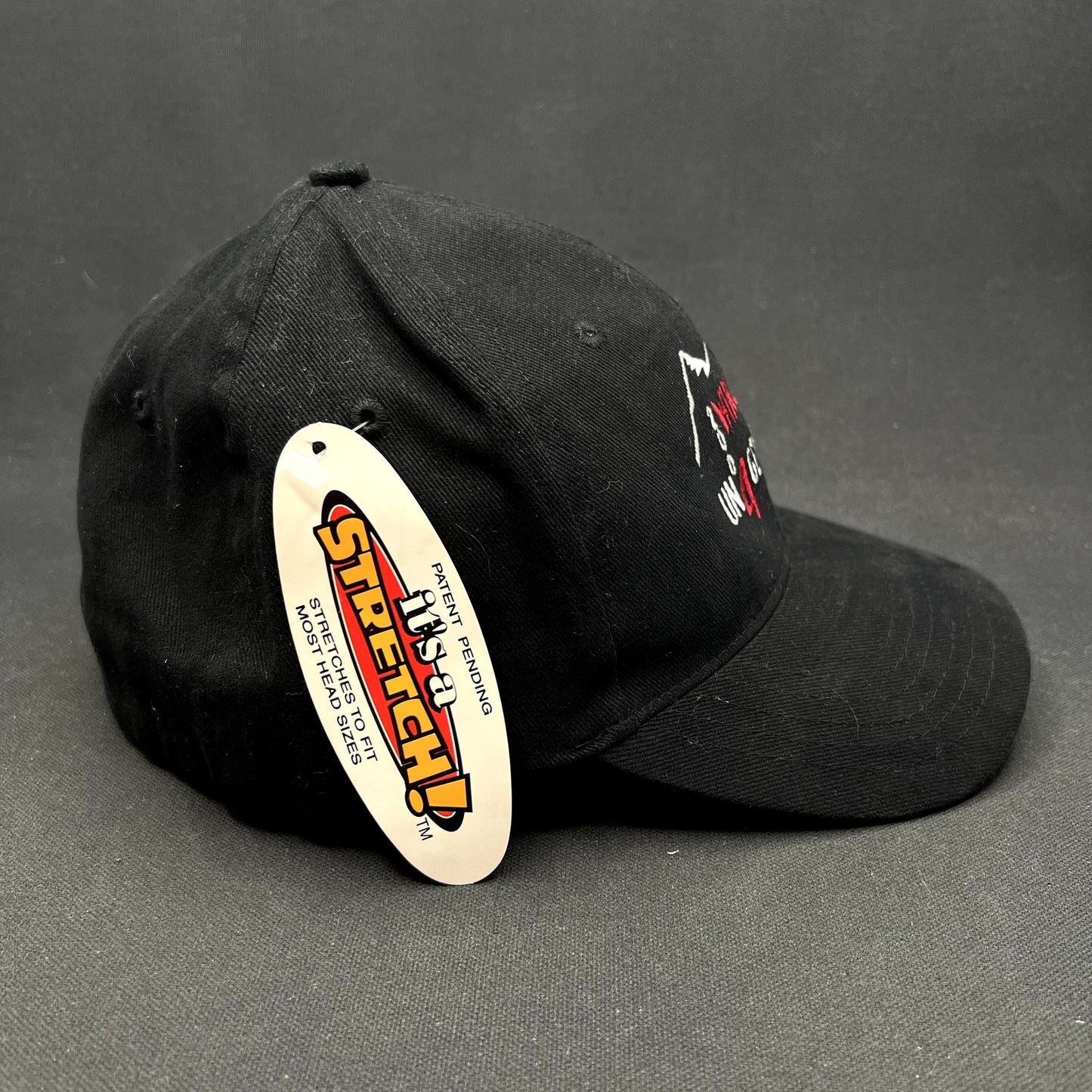 Vintage 2004 Aspen Wintersköl “Un4gettable” Stretch Fit Hat Ink! Coffee Ski Festival Cap S/Ma
