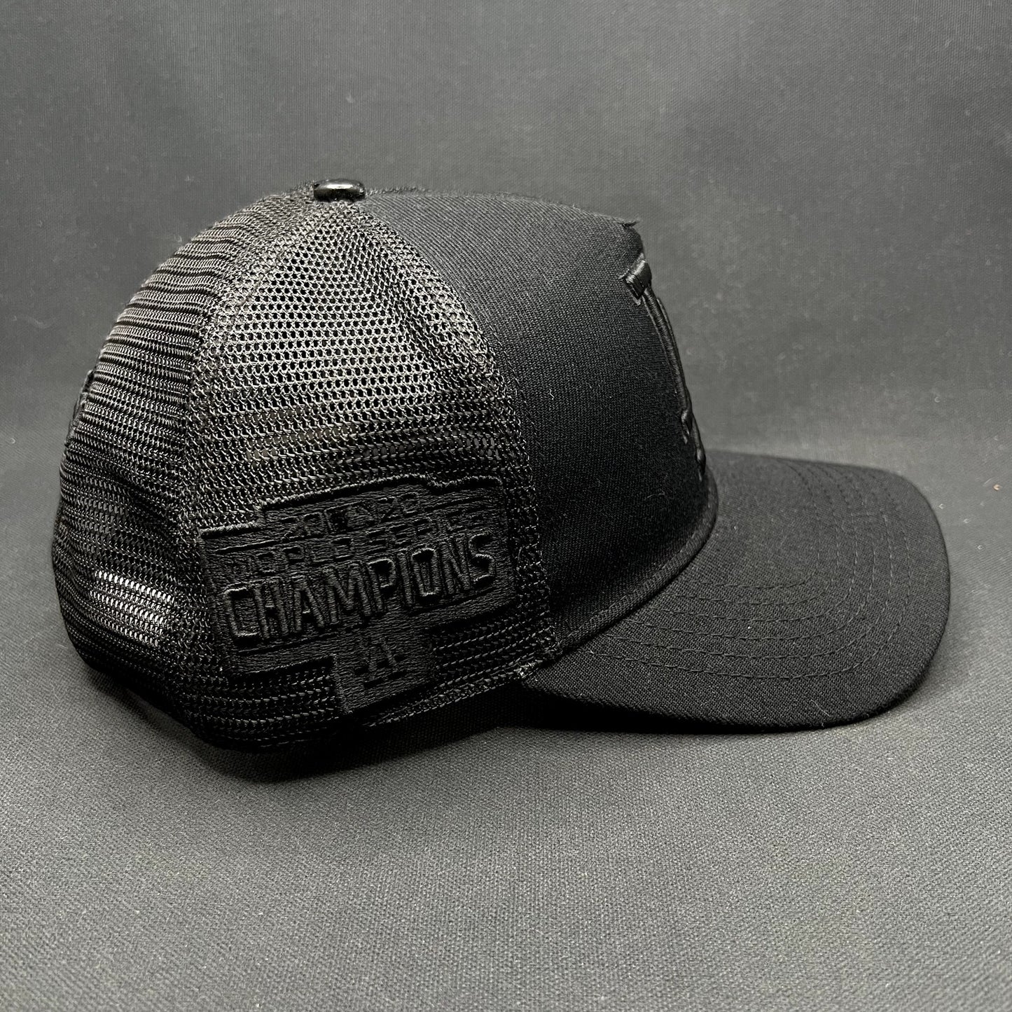 Los Angeles Dodgers 2020 World Series Blackout Trucker Snapback Hat