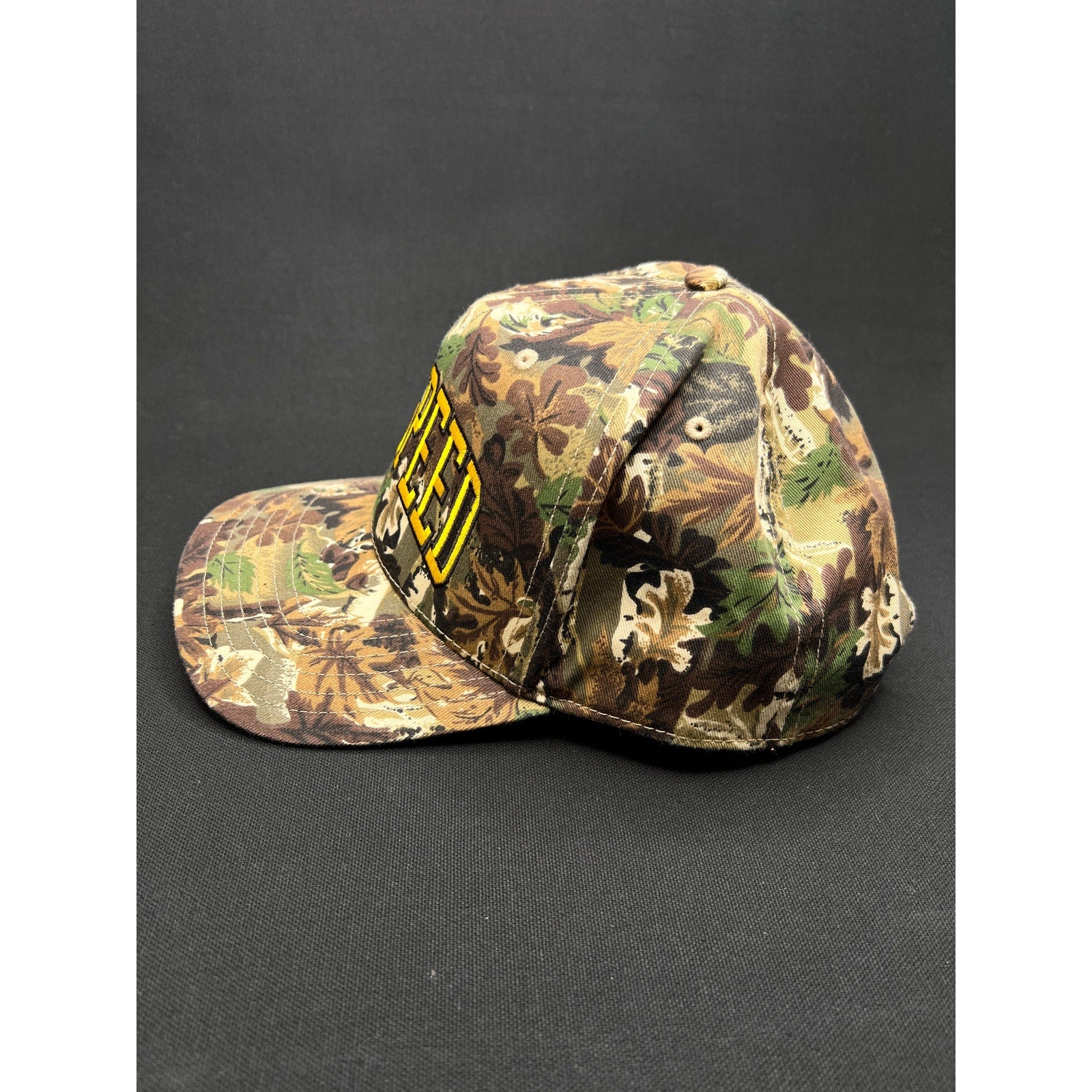 Zach Bryan “Godspeed” Camo Snapback Hat – Tour Merch (OTTO Cap)