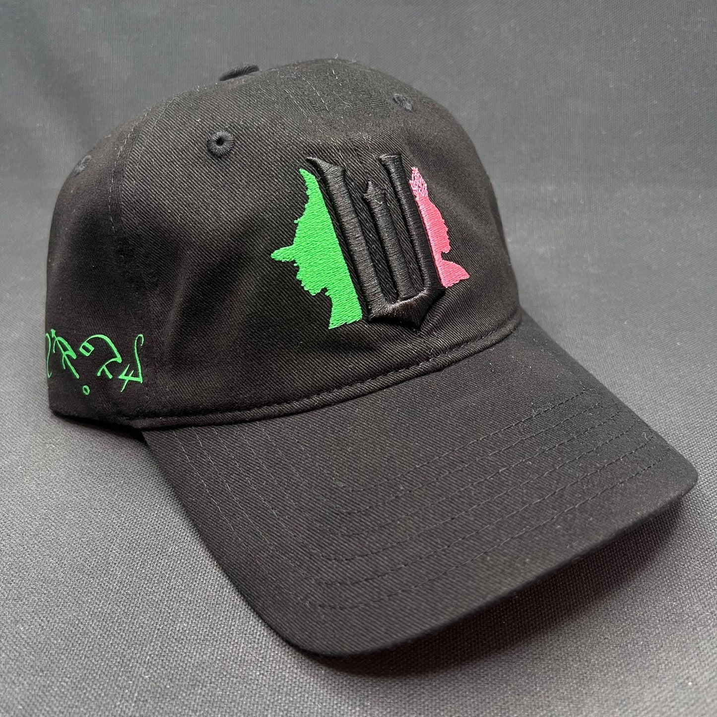Wicked Musical Snapback Hat Universal Studios Broadway Cap