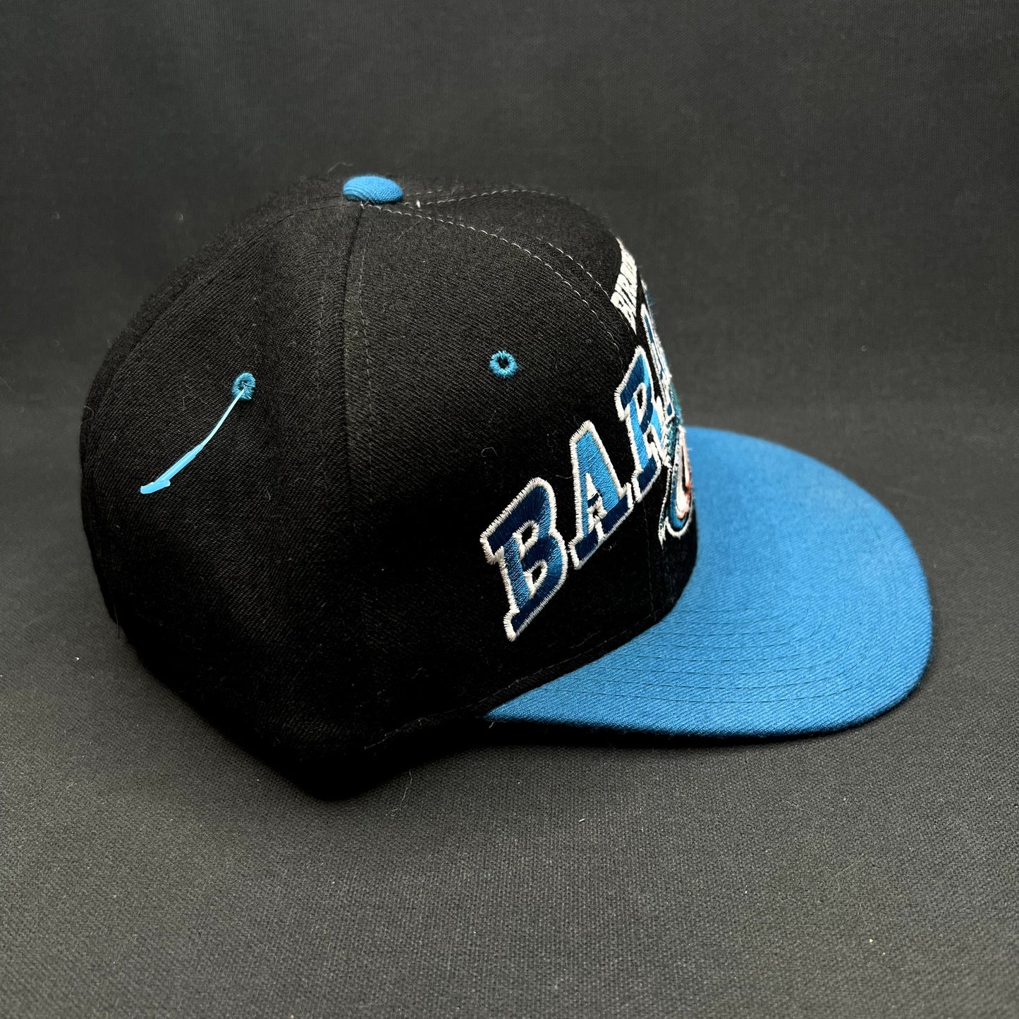 Vintage Birmingham Barracudas CFL Snapback Hat Starter The Right Hat 1995 Rare