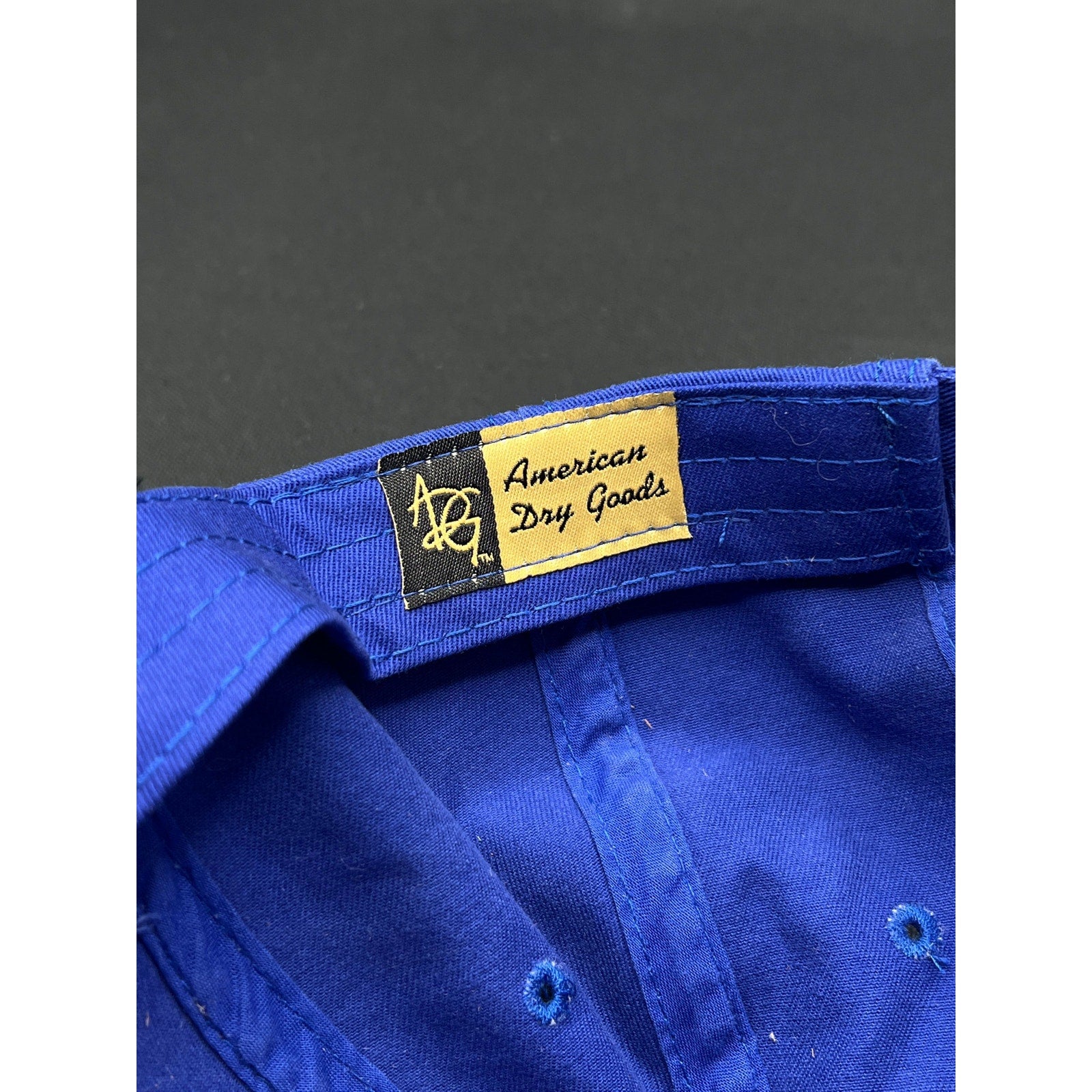 Vintage Trashmasters Aspen Golf Hat Royal Blue Strapback American Dry