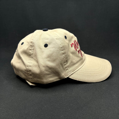Vintage Weeping Wing TKS AS&T Otto Strapback Hat Aviation Promo Cap