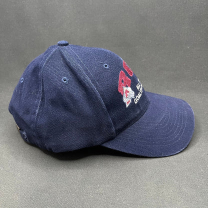 Vintage Colorado Avalanche Roy 33 Strapback Hat NHL 90s