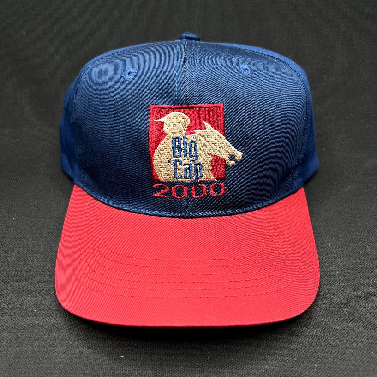 Vintage 2000 Big Cap Santa Anita Horse Racing Snapback Hat Y2K