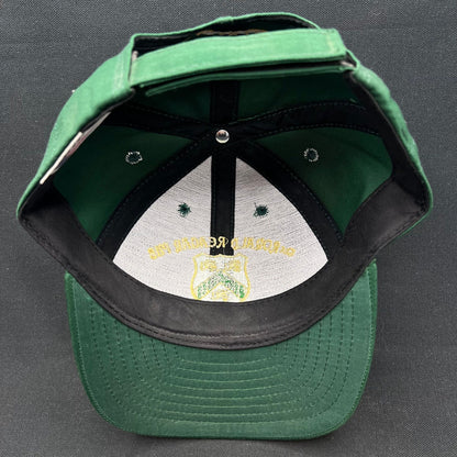 Vintage Ronald Reagan Pub Ireland Crest Snapback Hat USA