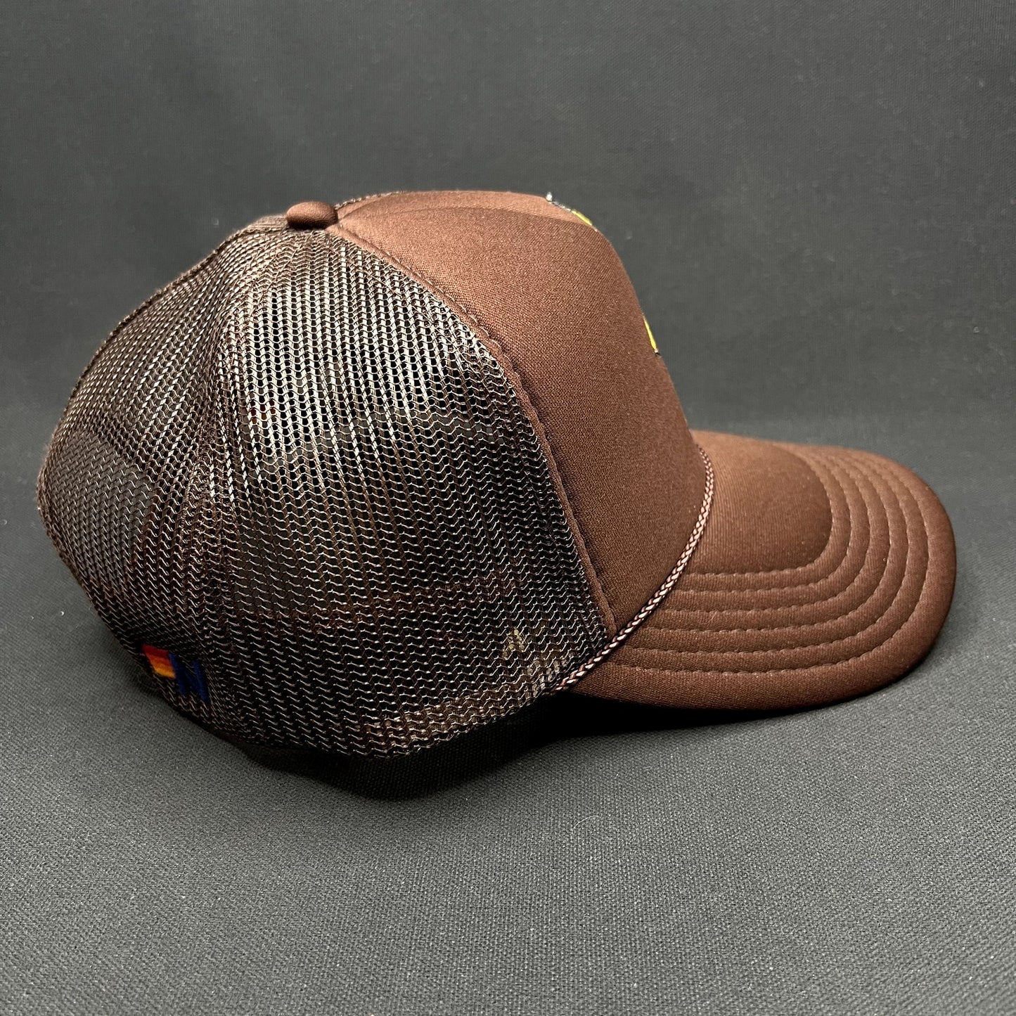 Aviator Nation Lightning Bolt Brown Trucker Snapback Hat