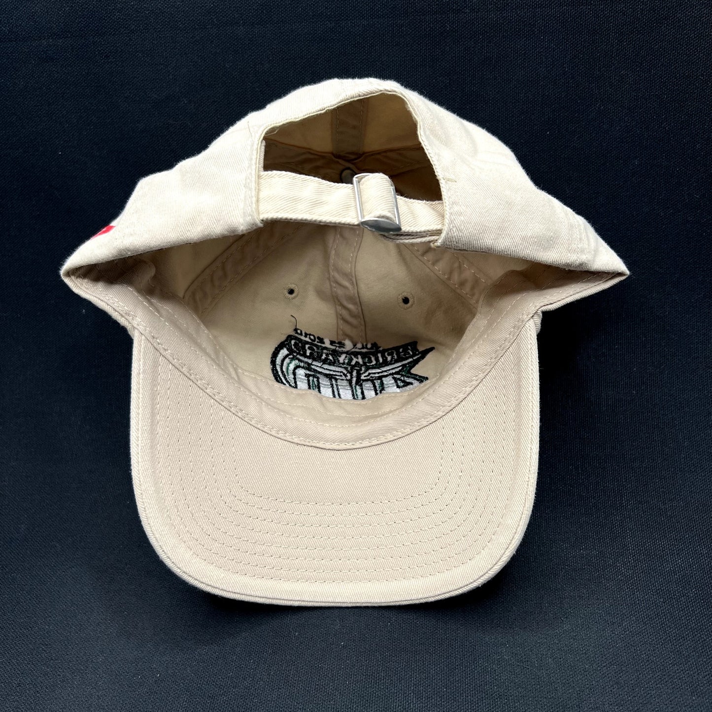 2010 Brickyard 400 2010 NASCAR Indianapolis Strapback Hat Top of the World