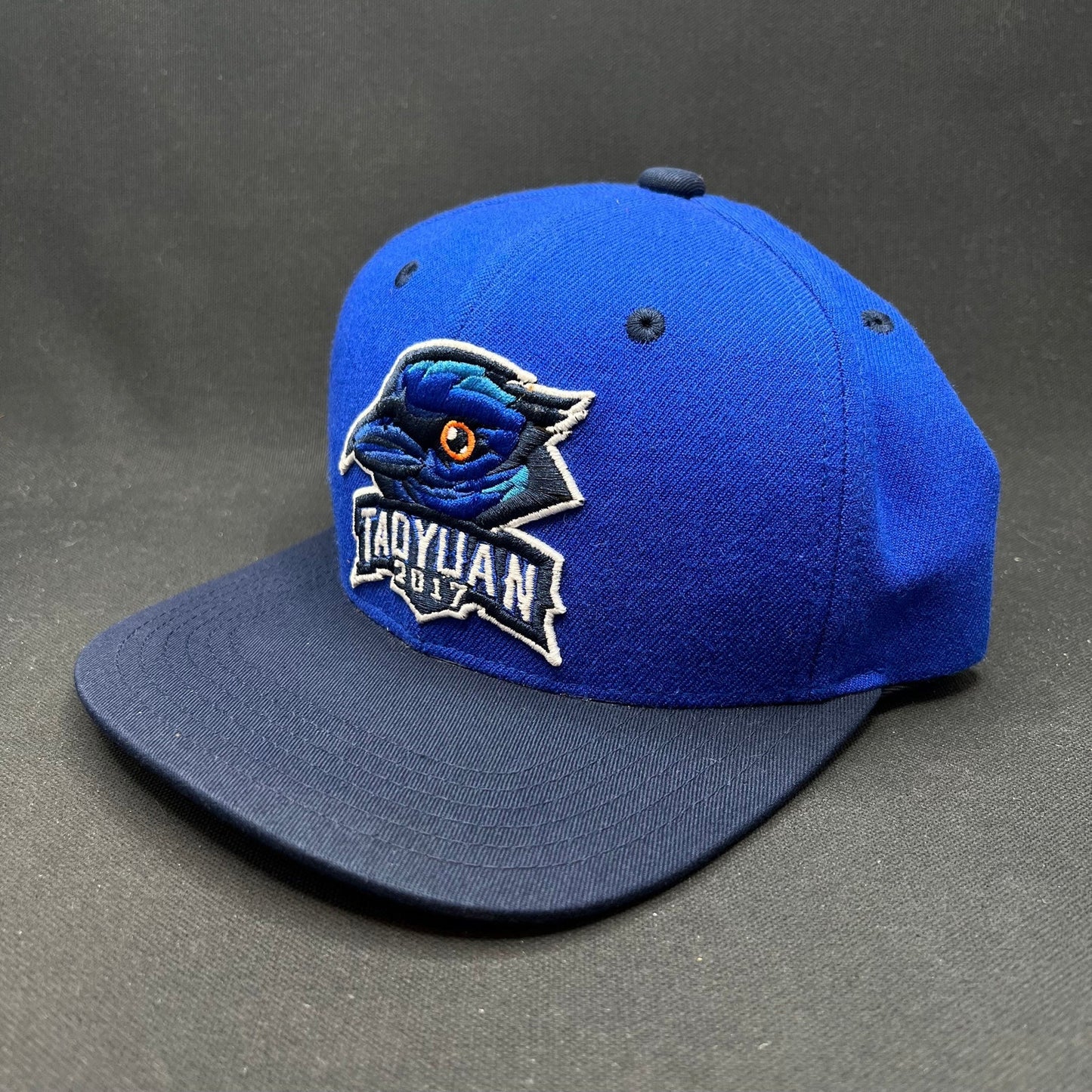 2017 Taoyuan Baseball Snapback Blue Raven Logo Hat