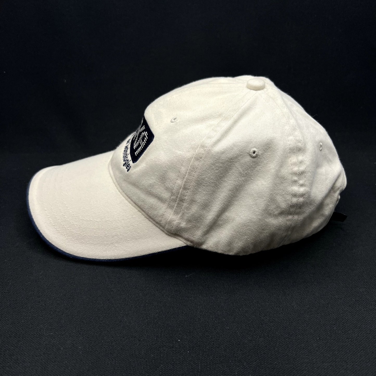 Vintage DEKA Laser Technologies Strapback Hat Brian Robinson Medical Tech Cap