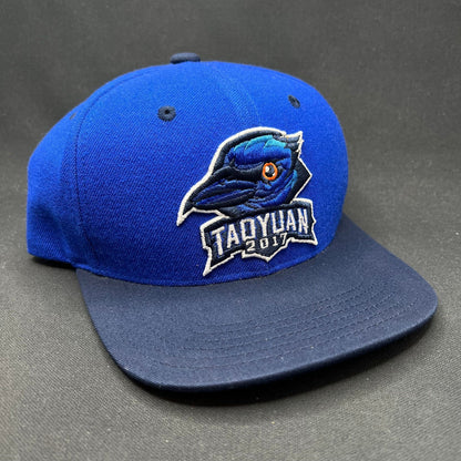 2017 Taoyuan Baseball Snapback Blue Raven Logo Hat