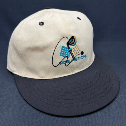 Vintage Easton Golf Hat Pro 98 Fitted Plus USA Made Fitted L-XL