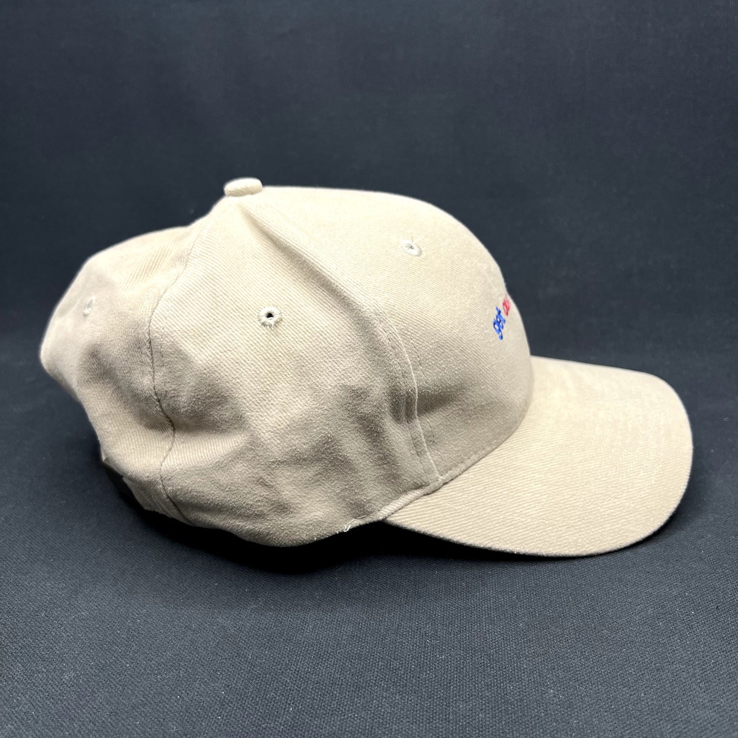 Vintage Sports Authority “Get Out And Play” Strapback Hat