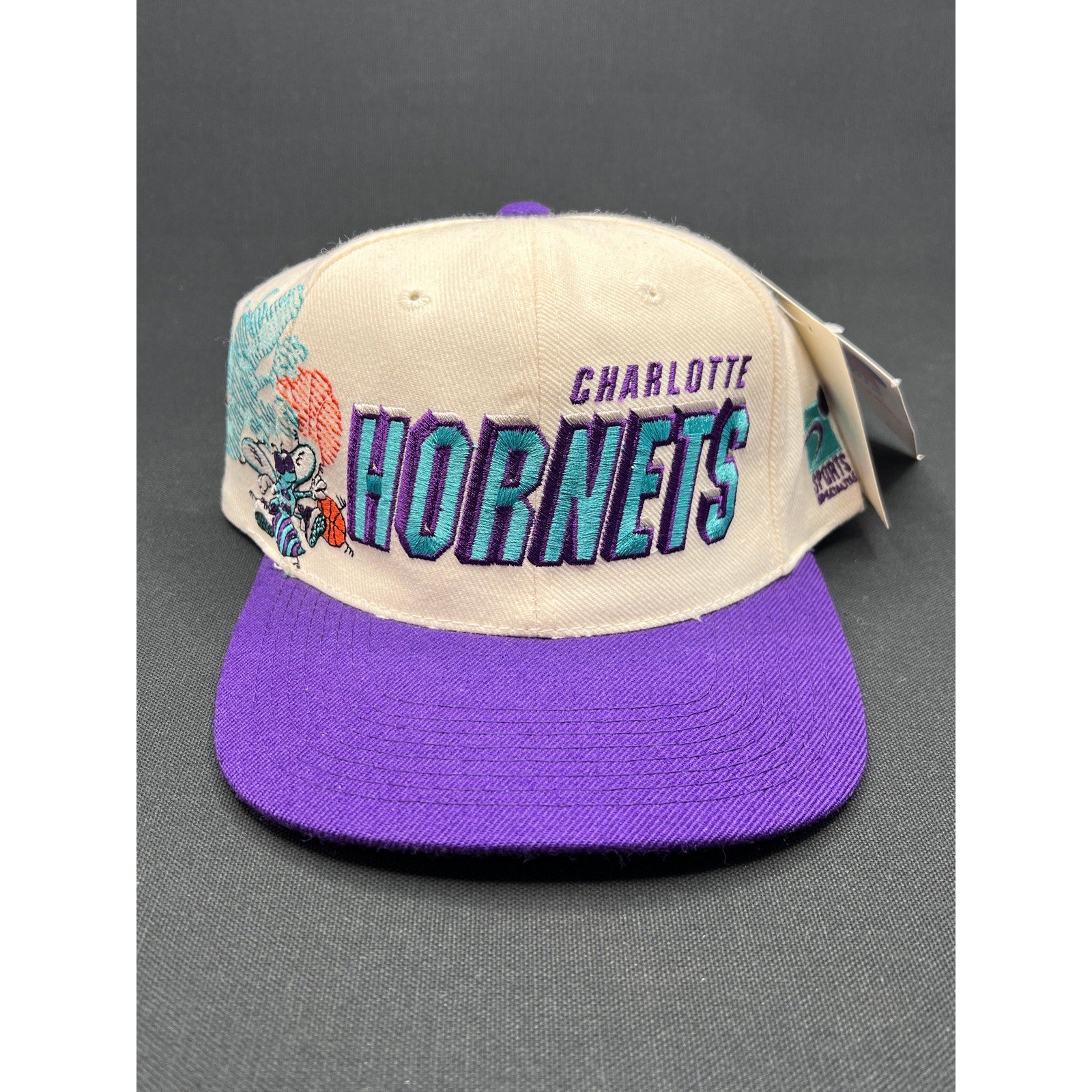 Vintage Charlotte Hornets Shadow Script Hat by Sports Specialties NWT